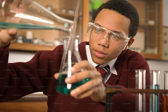 Science Fair Highlights